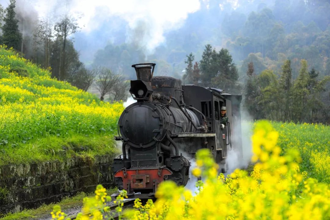 全世界唯一在运行的蒸汽小火车,经典窄轨蒸汽机车