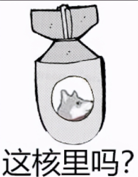 “指环王”凉了？流行文化8大“冷圈”用户画像，看看有没有你？