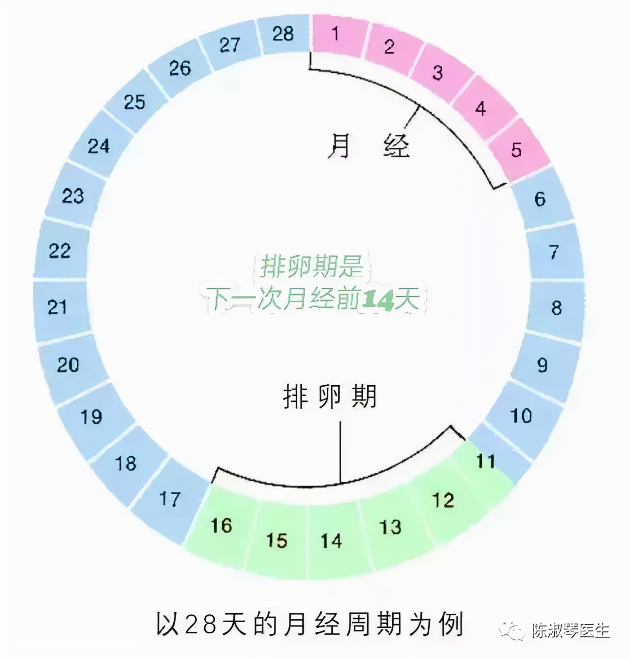 【答个疑】排卵期该如何计算呢？