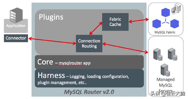 mysqlrouter读写分离,使用mysql