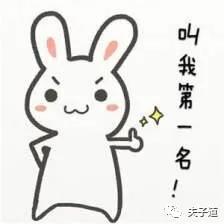 放神兽归笼？别忘了再给他们一个温暖小窝