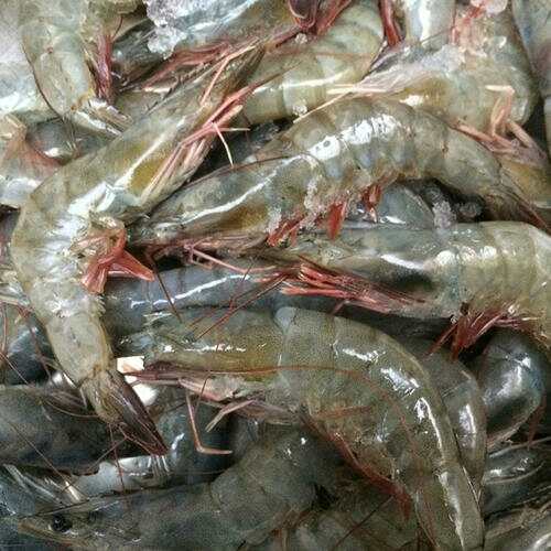 冷冻虾的家常腌制方法