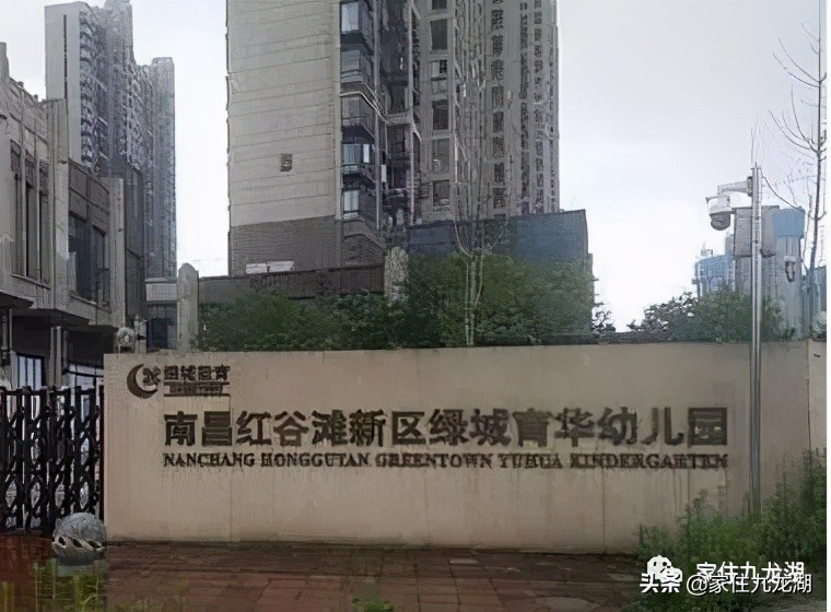 九龙湖有私立幼儿园,九龙湖什么幼儿园最好