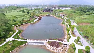 浙师校庆节,浙师百年校庆