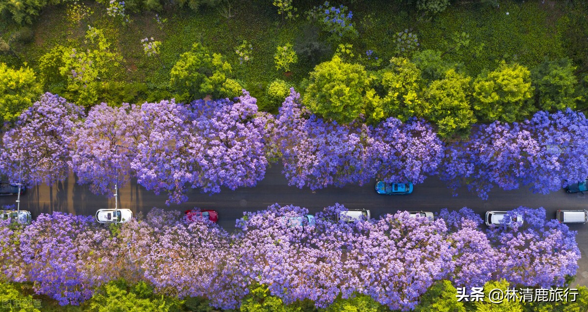 中国挑不出缺点的养老城市，交通医疗都很好，连空调都很少见