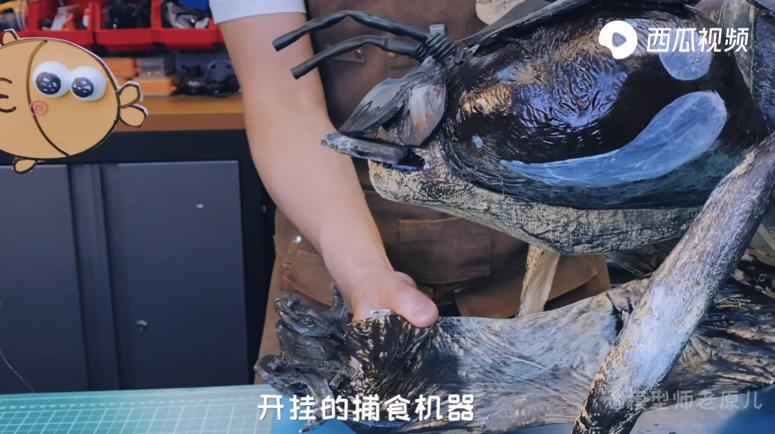 童年里总有蜻蜓的身影,现在没了?西瓜视频揭秘蜻蜓的生存有多难