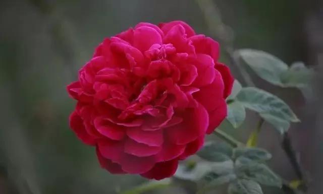 每天学习一点点女性小常识,每天学习一点点科普一下