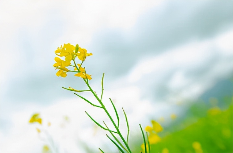 在乎你的人怎么舍得让你失联,真正爱你的人怎么可能失联