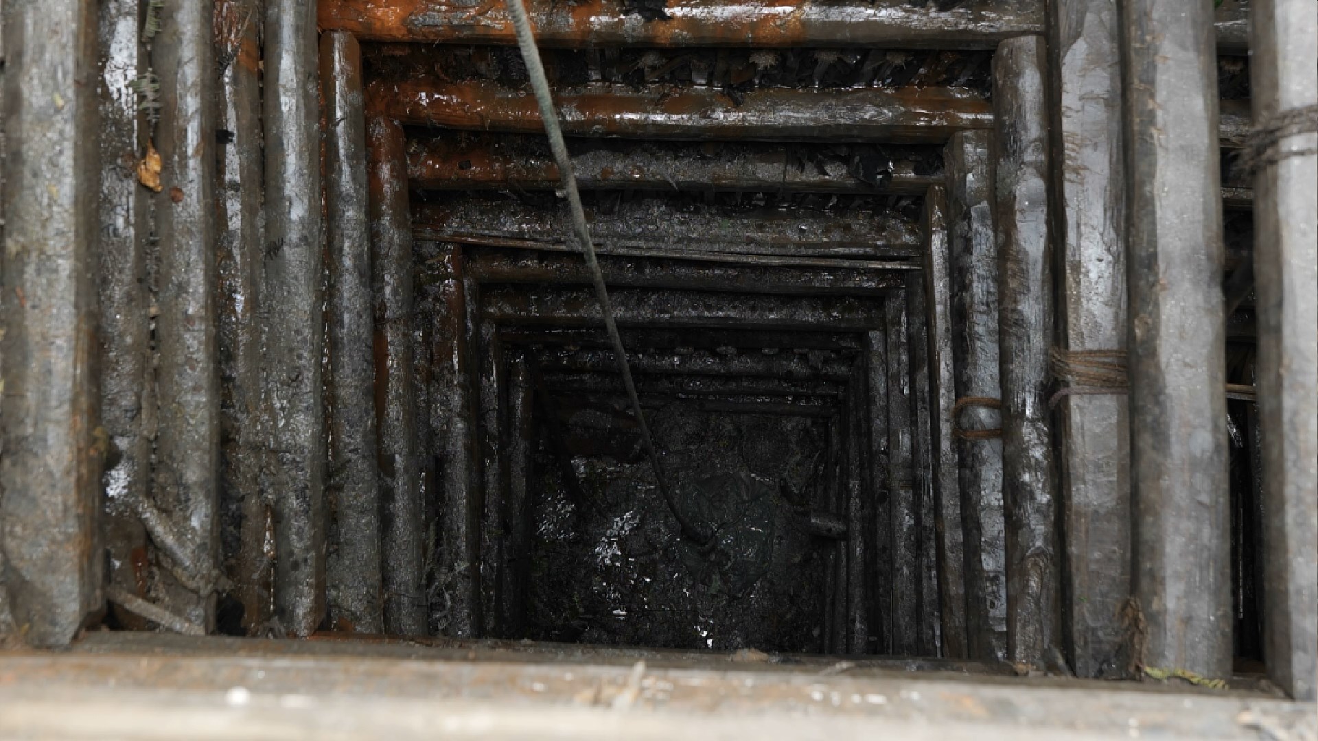 宝姐在斯里兰卡,宝姐的全部视频