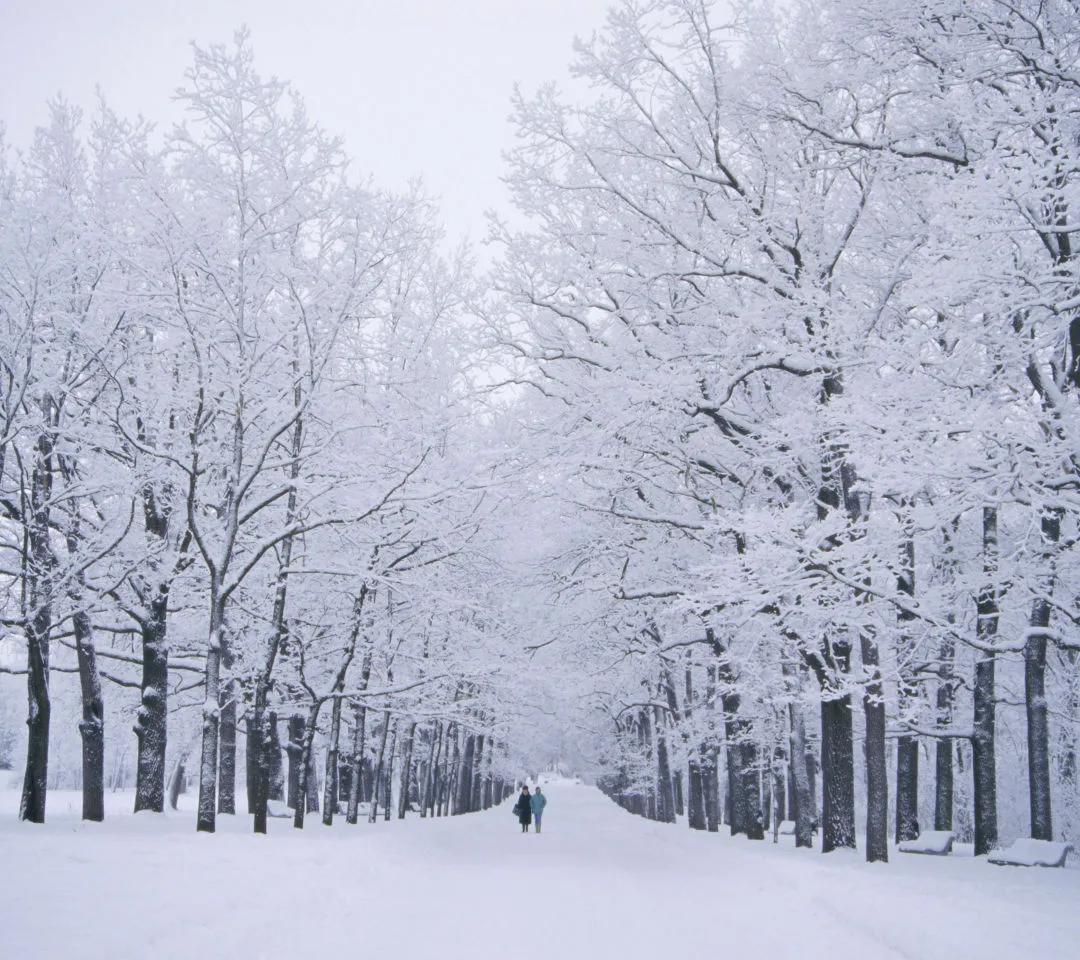 足球6场竞彩半全场预测分析,2023-10-4期竞彩足球结果