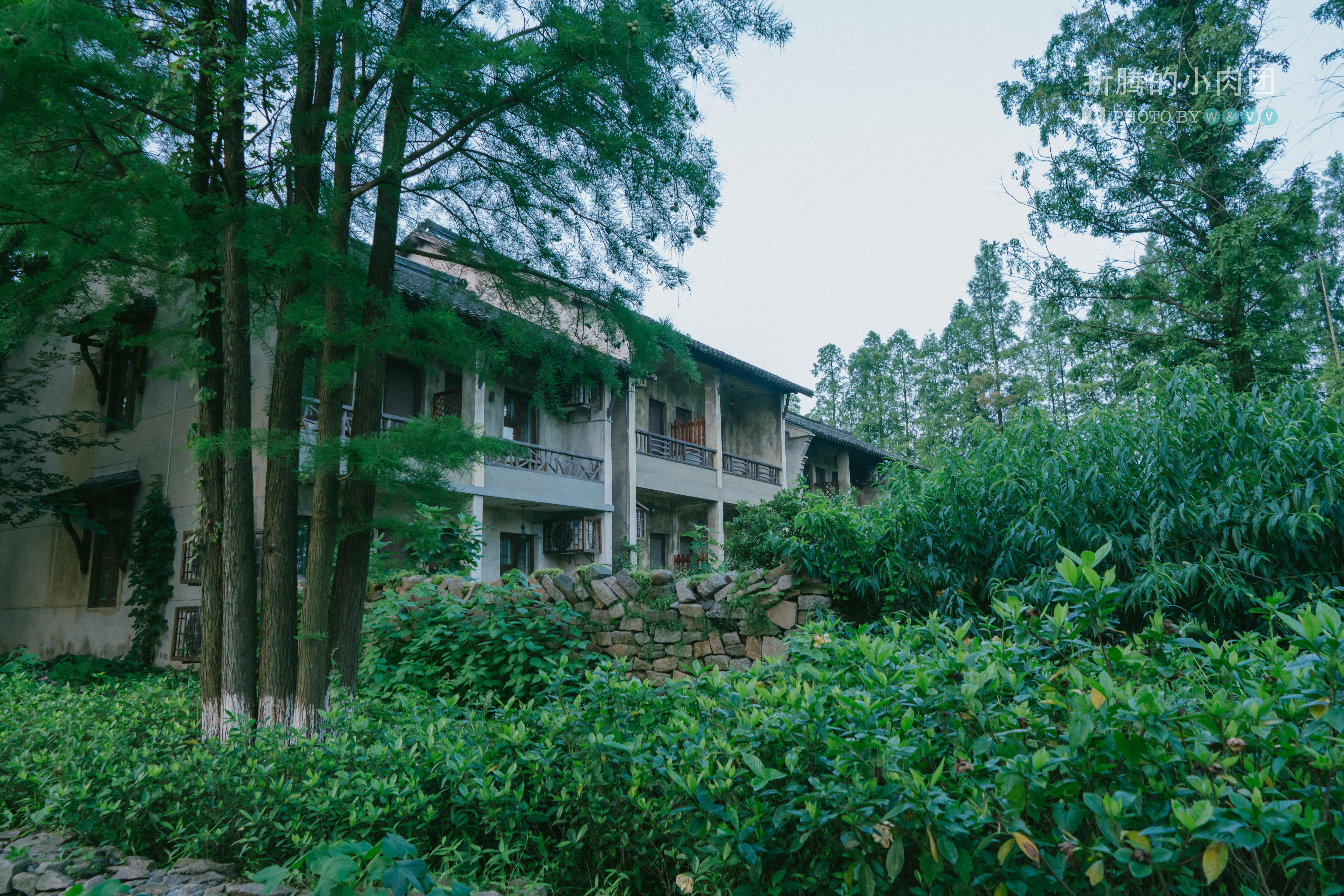 乌村亲子游全攻略,乌村亲子游攻略