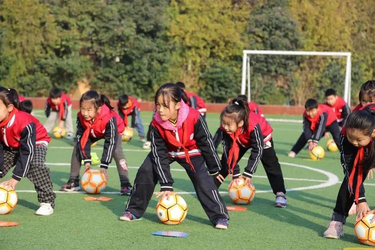 “双减”进行时|守好课堂主阵地,来为“双减”加把力