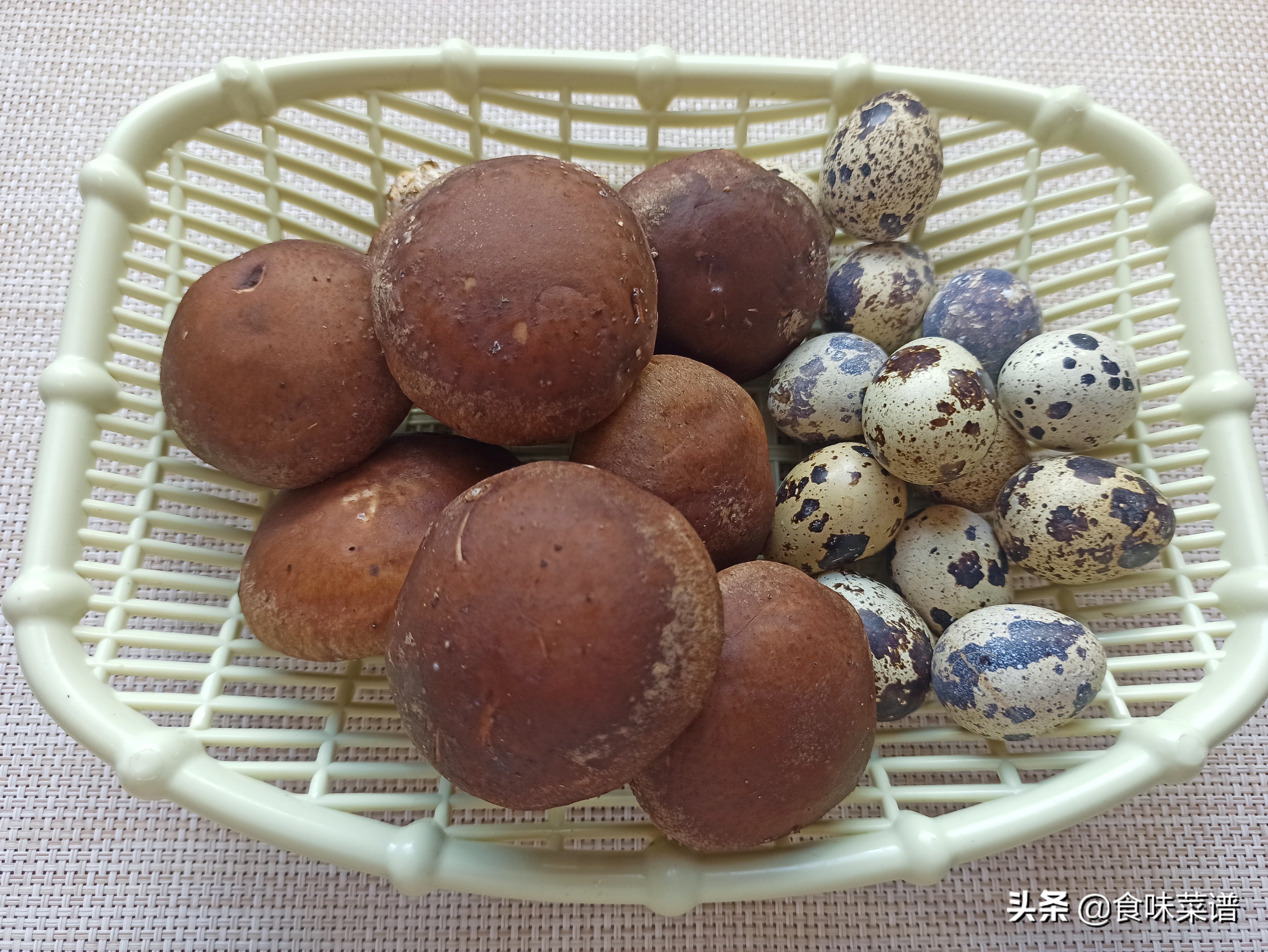 鹌鹑蛋营养价值高不高,鹌鹑蛋的营养能超过鸡蛋吗