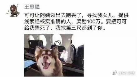 中国富二代张康阳韩国,富二代张康阳对比王思聪