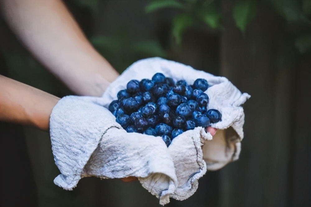 十大赚钱生意项目,十大最有前途的创业项目