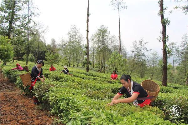 云南沧源县的风景,云南沧源最漂亮的地方