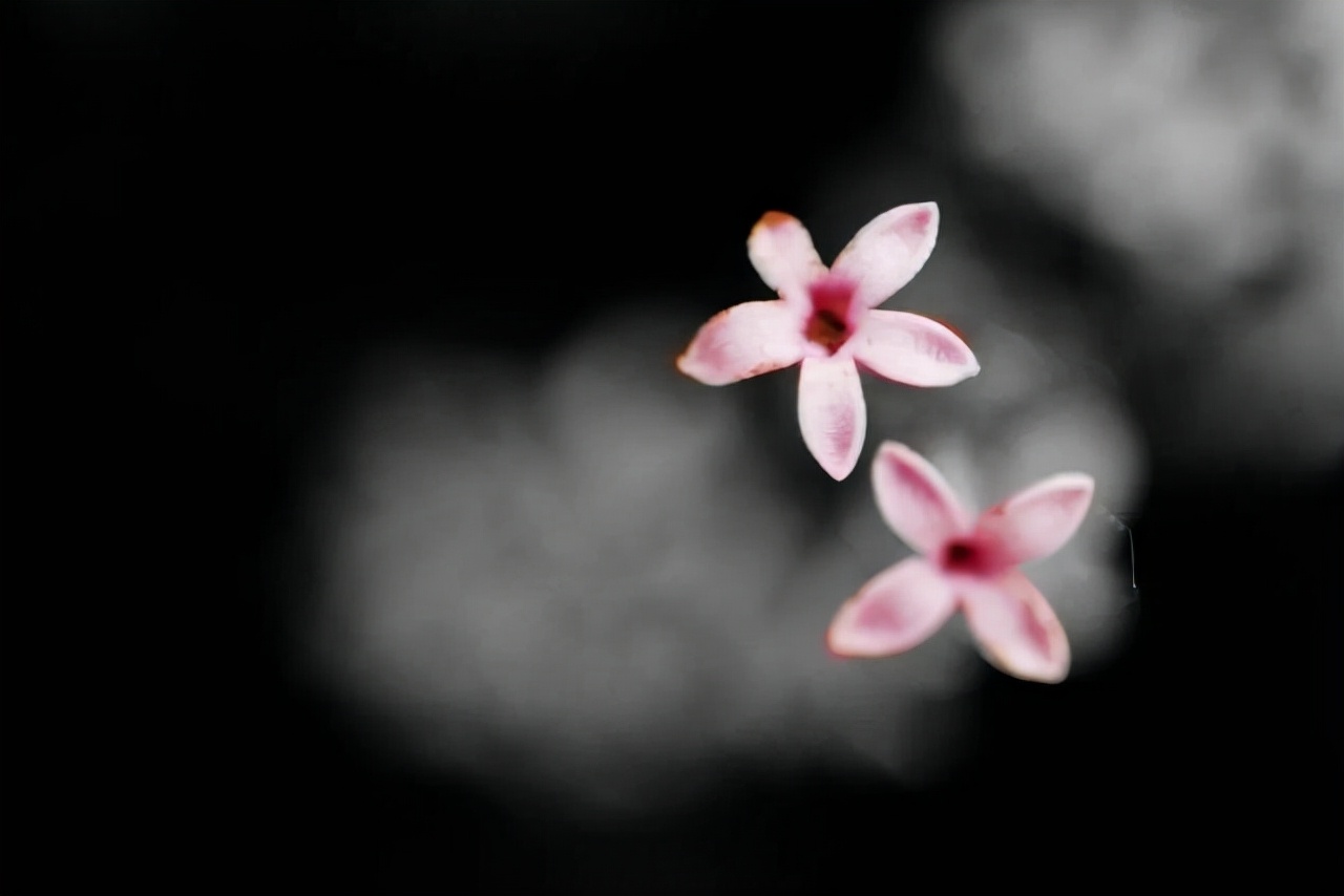 别着急属于你的东西早晚会来,属于你的缘分终究会到来