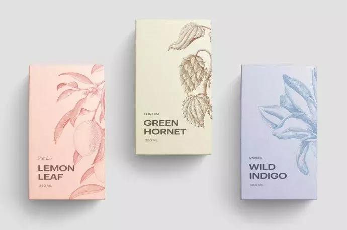 土特产电商设计策划方案,八年级美术土特产包装设计草稿图