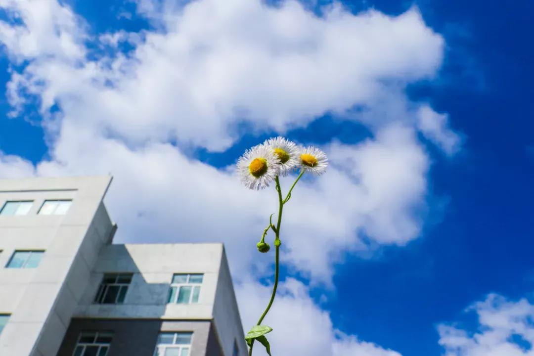 南京师范大学泰州学院1847,江苏6所省属师范大学