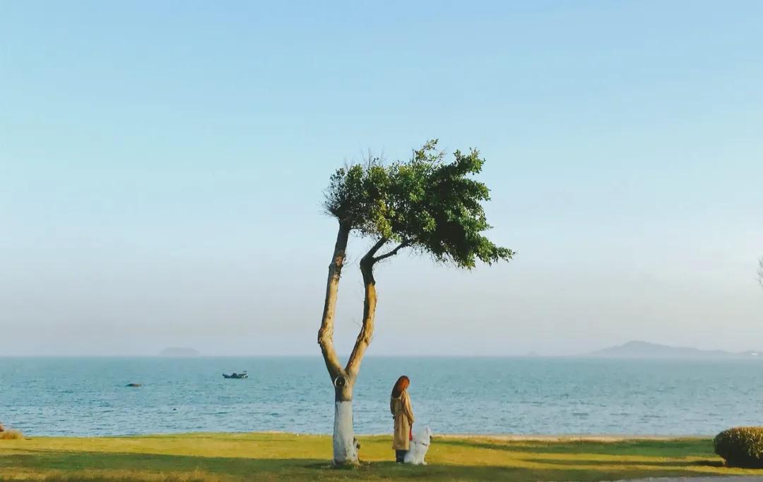 其实傻人不一定有傻福,这个世界傻子太多