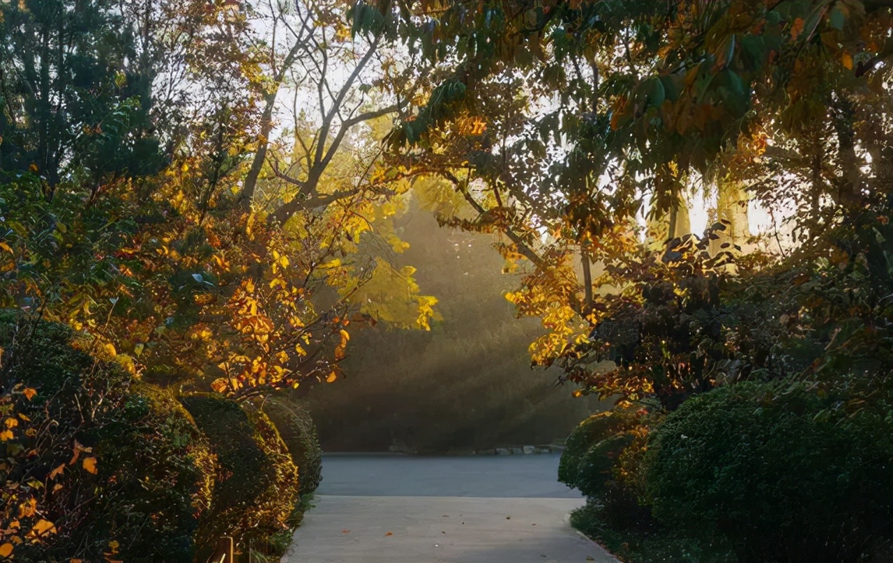 济南免费周末遛娃玩水好去处,济南亲子公园游玩地点推荐