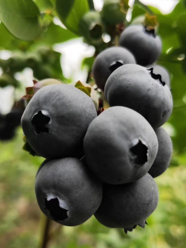 笑可以代表一切,笑能治愈一切