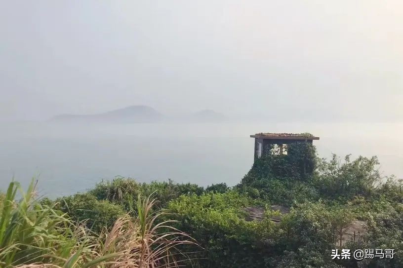 我向往的生活是什么样子短片,我向往的生活是怎么样的