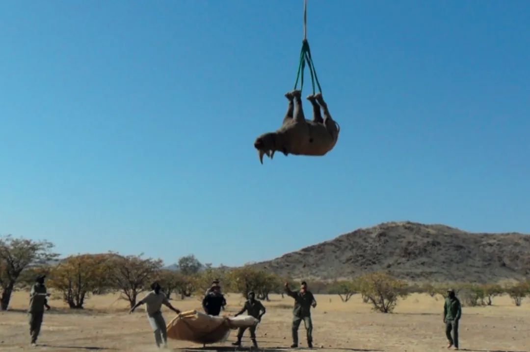*行为性**能让鼻子更通气；留着长胡子更抗打？今年的搞笑诺奖它来了