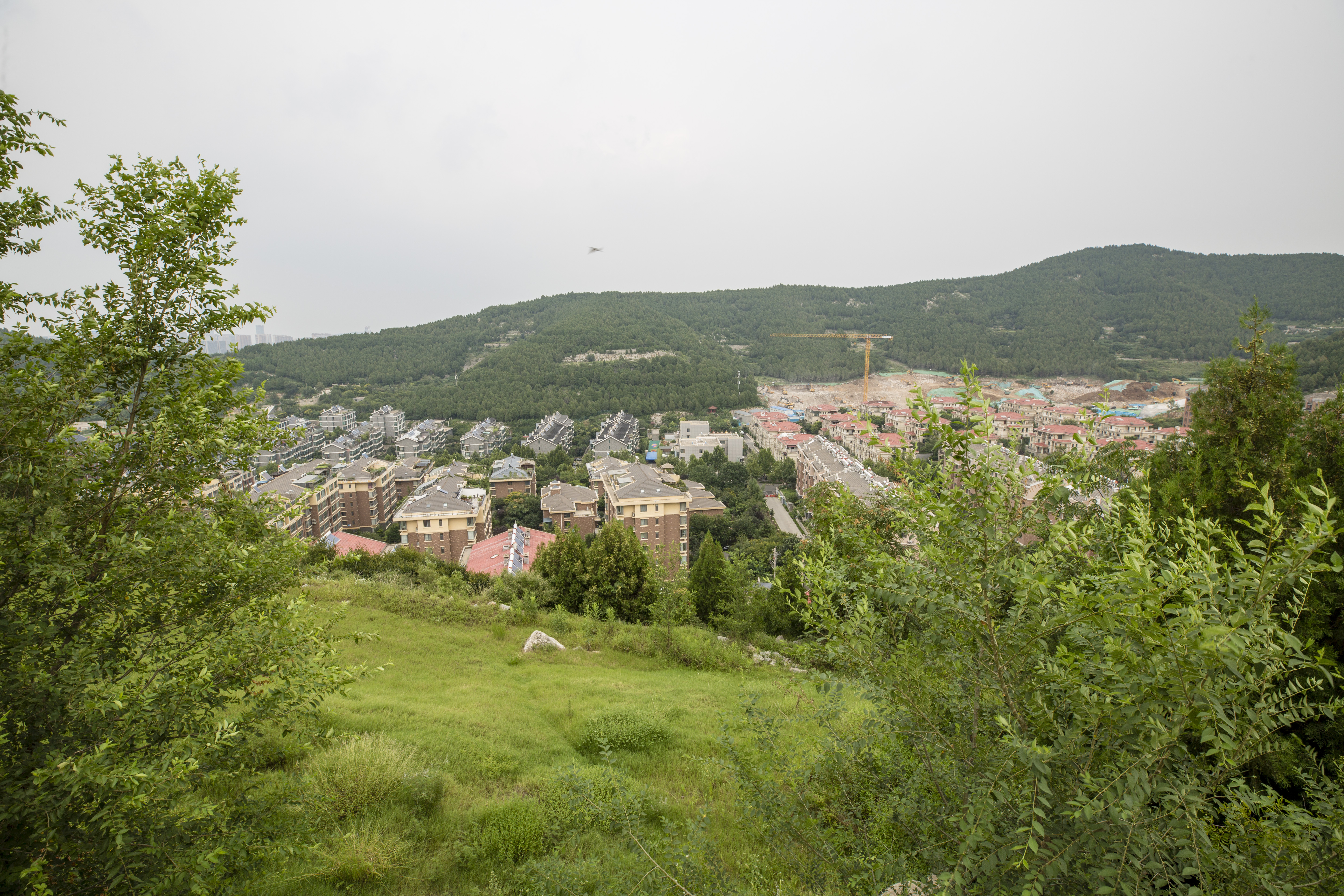 济南公园哪个最好看又好玩,济南古香古色的风景公园