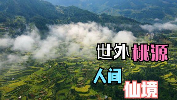 念念不忘必有回响|在西瓜视频,看见她力量