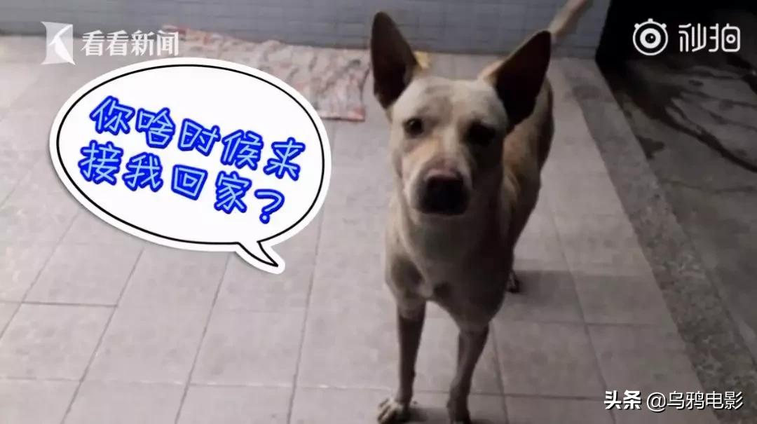 b站必看的综艺,b站能看的综艺推荐