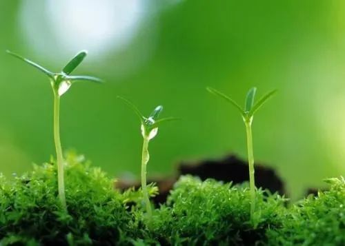 中国最难认的字是什么字,中国最难认的县名