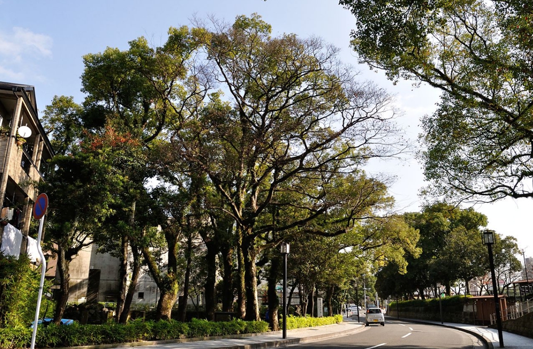 明治维新九大功臣,明治维新将领