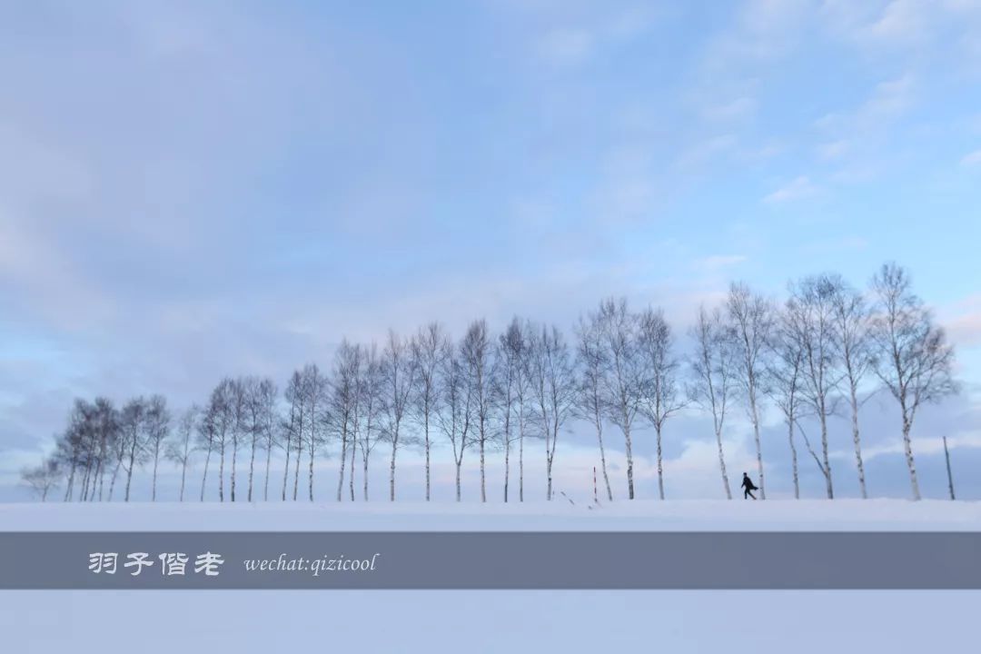 日本10天自由行费用北海道,东京北海道5日自由行攻略