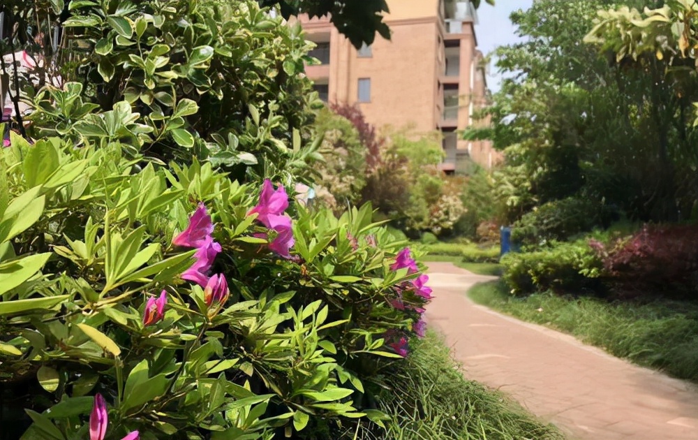 高楼层的低层为什么越来越吃香,高层真的没有低层吃香吗