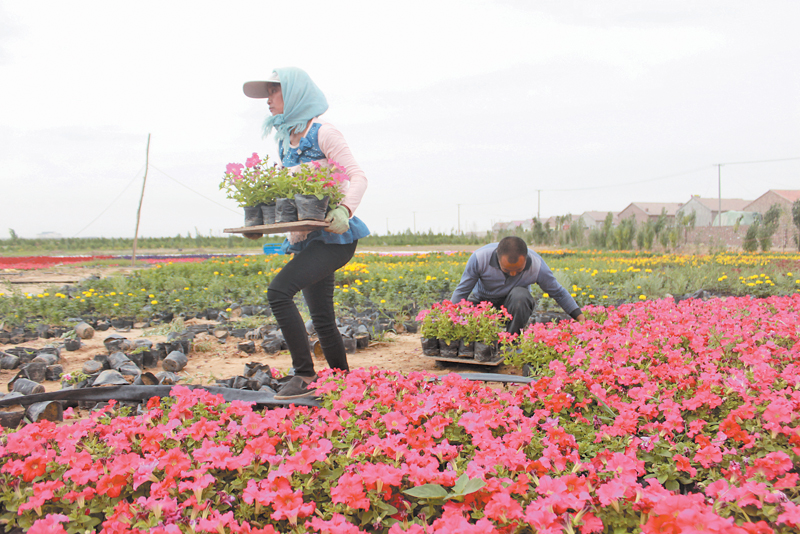 农村市场的缺口在哪里,农村空白市场有哪些