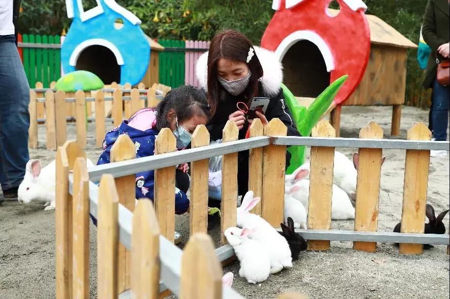 周边有什么可逛的地方吗,4月适合去哪儿旅游攻略