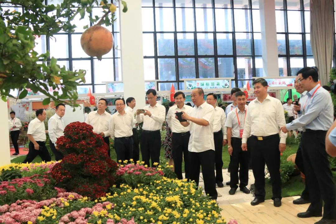 中国沭阳国际花木城在哪个城市,沭阳花木城的发展