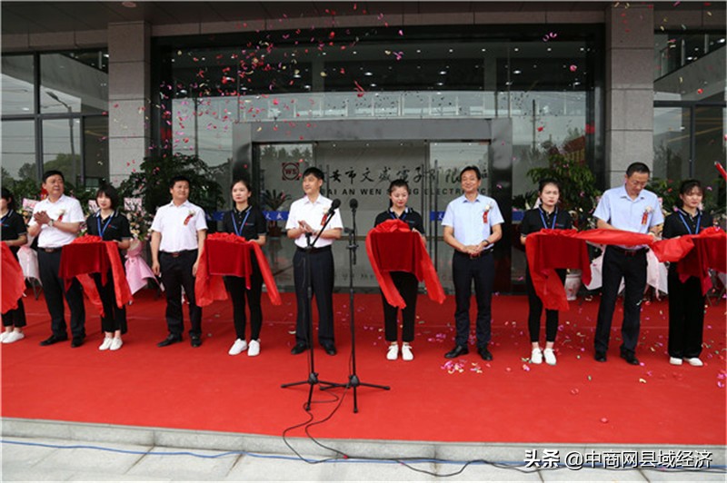 淮安市淮安区文盛电子厂,淮安市文盛电子