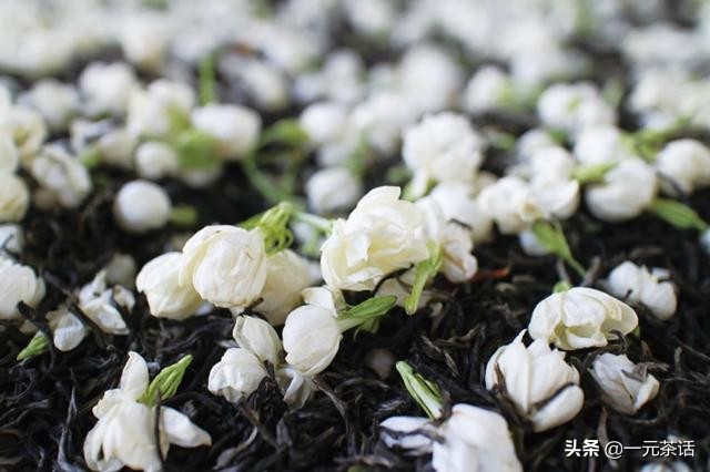 张一元龙毫茶多少度水冲泡,春之茶明前龙井