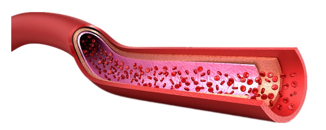 服药后血药浓度高于标准好吗,按医嘱按疗程用药