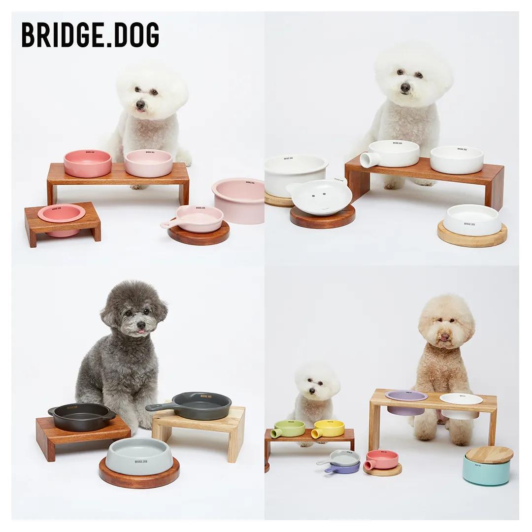 ins风宠物碗,韩国碗具