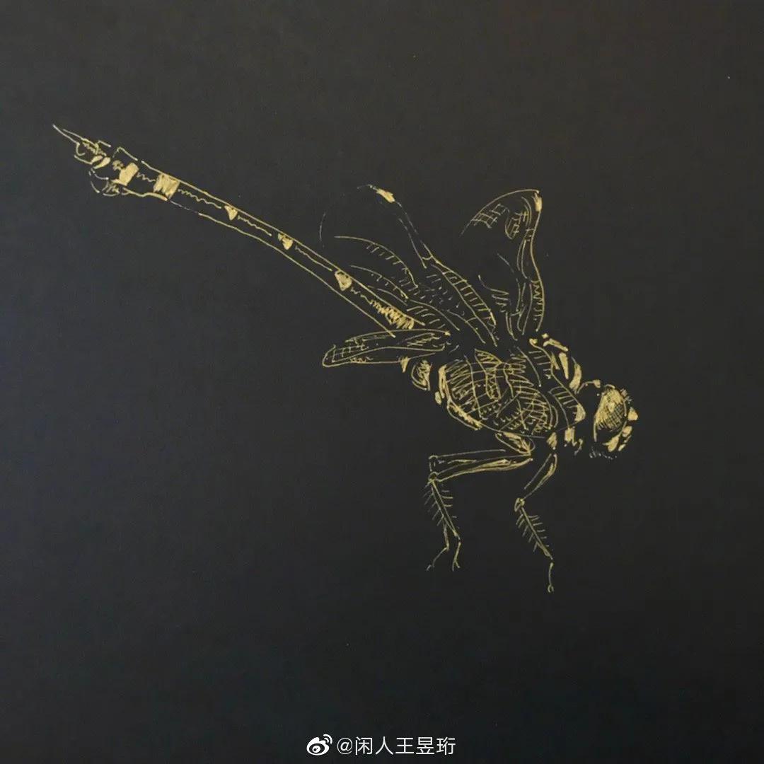 王昱珩上学经历,清华毕业的王昱珩