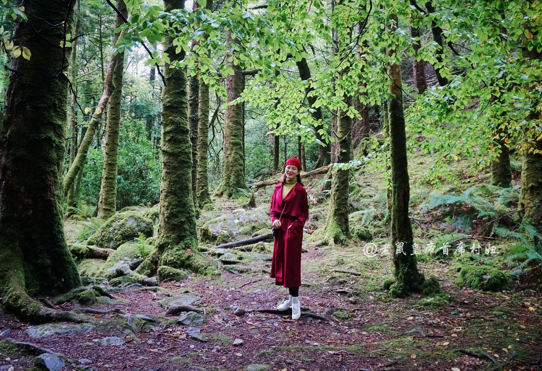 爱尔兰为什么只能结婚不能离婚,爱尔兰为什么结婚这么难