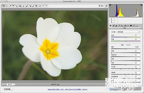 摄影入门第八课：单反白平衡的设置与使用技巧，摄影进阶必修课