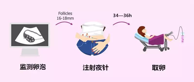 试管为什么要每天打针,试管为啥要2天抽一次血