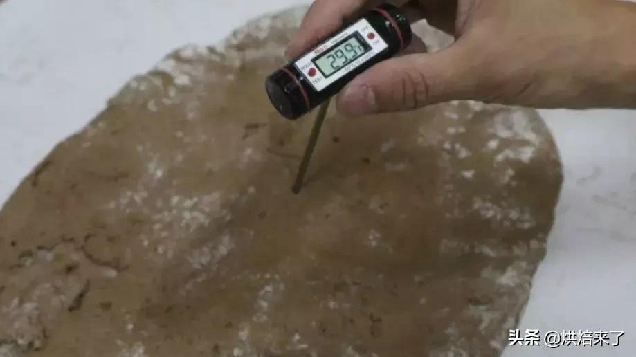 德国黑麦酸面包 (德国黑麦酸面包怎么吃)