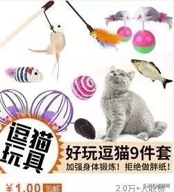猫咪省钱好物维生素,猫咪必买的10种单品
