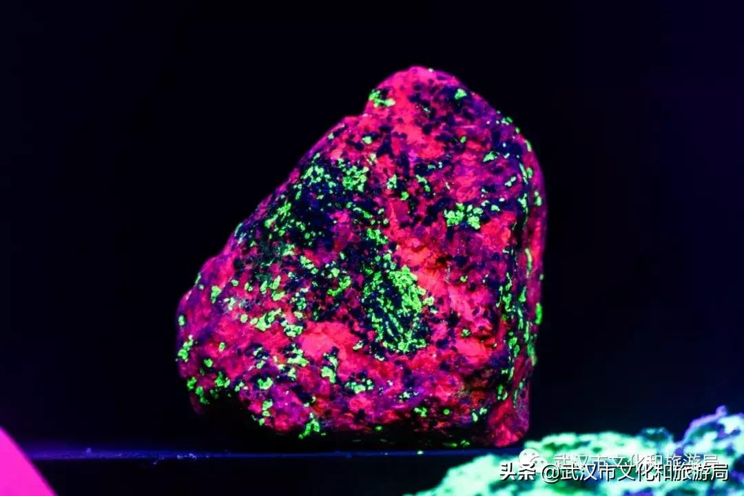 武汉奇特博物馆,武汉奇妙博物馆