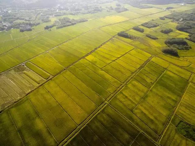 乌镇雅园养老公寓开发强度,绿城乌镇雅园养老院营销模式